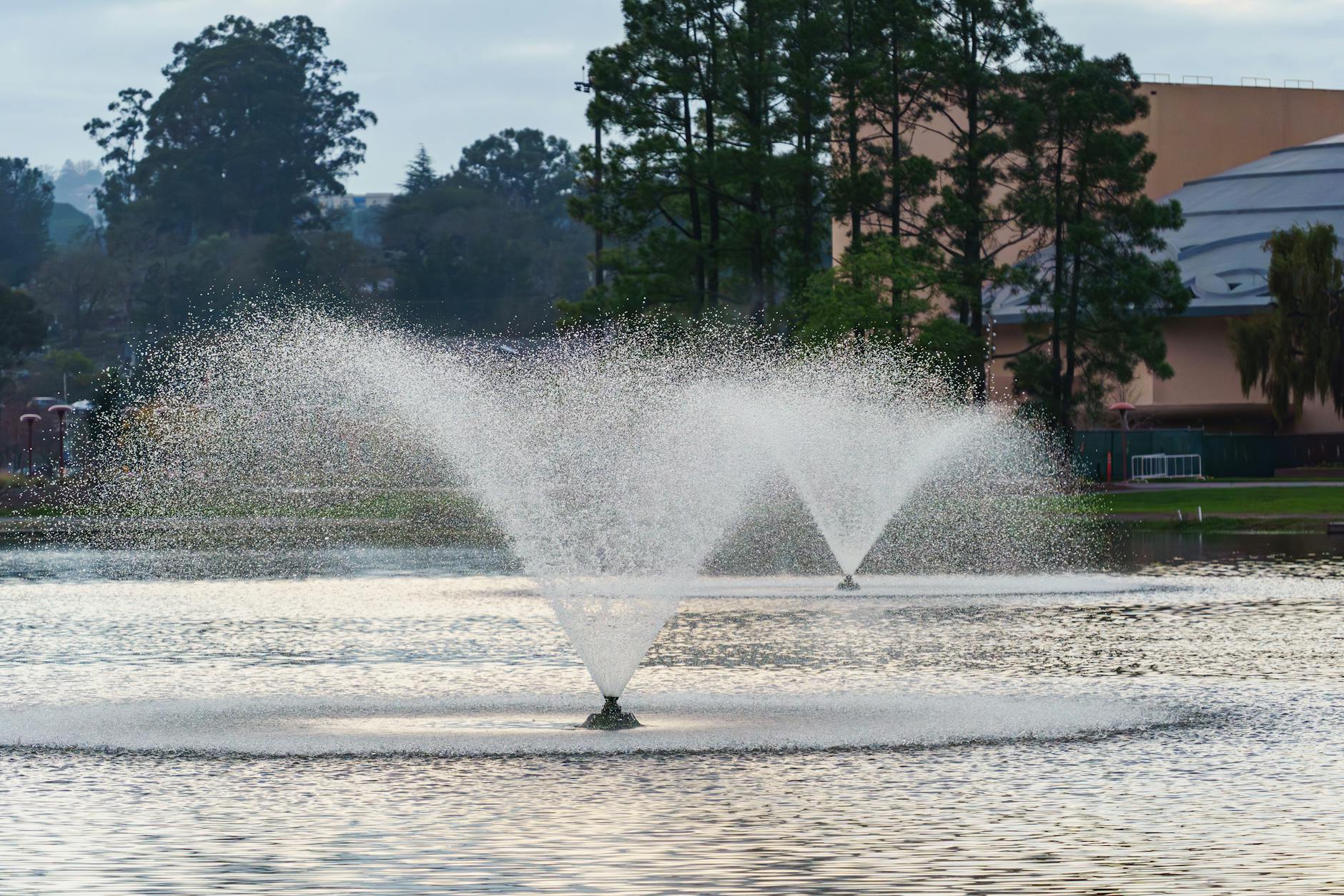 Fontaine et bassin de jardin