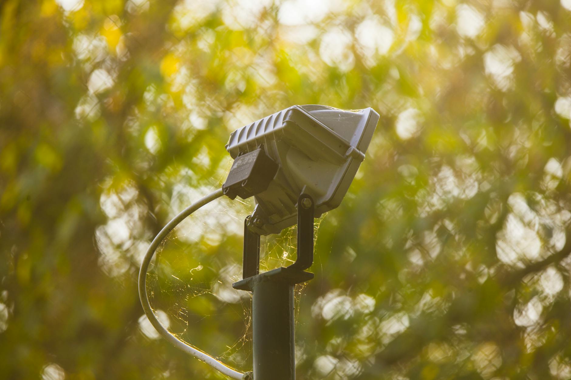 Spots lumineux dans un jardin
