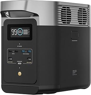 EcoFlow DELTA 2